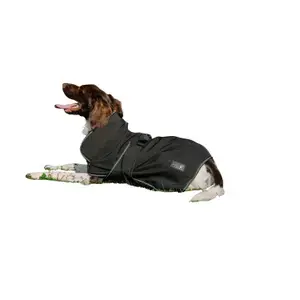 Equithème Hundfilt Kampanjpris